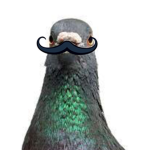 Pigeons Of The Universe