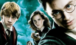 Harry potter people here