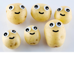 The Potato Family! :D
