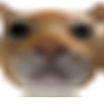 Project: Granted