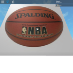 NBA fans group (national basketball association fa