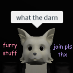 Furry Stuff