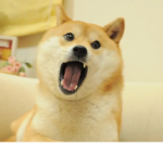 The Doge Household