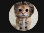 Pet.Owners