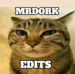 MRDORK'S DORKS