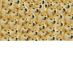 #dogegroup