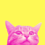 Visteriaa