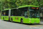 Bus SG