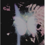 ‘ ThirdEye