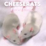 cheeserats factory