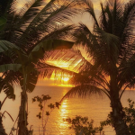 -sunset life-