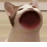 Les pro gamer yt
