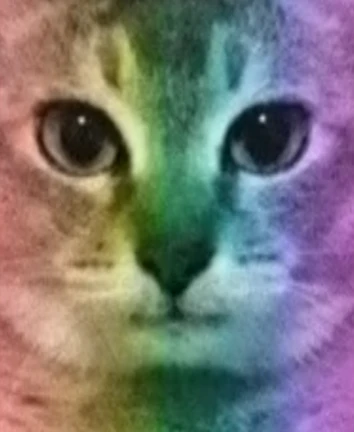 update × admin abuse