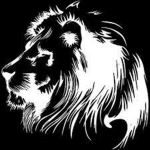 kuzlive Group