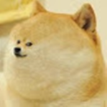 Blue Doges of Roblox