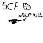 SCF foundation