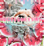 watermelons group<3