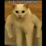 Cacita Clan