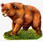 lavender bear :)