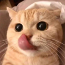ᗢ