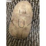 Potatoes are the best!
