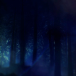 Frozen Forest