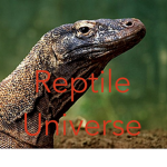 Reptile Universe (Official Group)