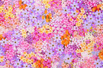 Summers aperals