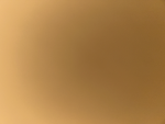RblxHolly