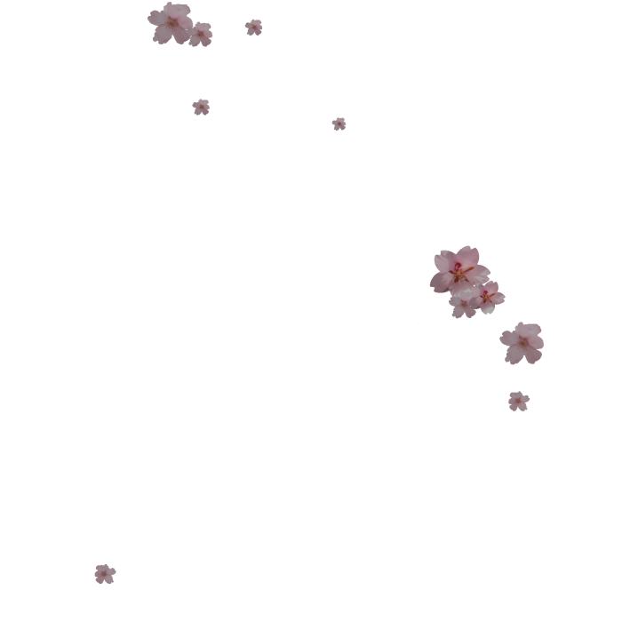 pink flower infection