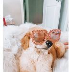 Dog baddie