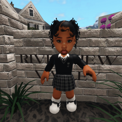 IMG_8532 Roblox decal