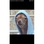 Gg NVcce mumsfwjdtwh Eee