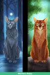 Warriors Cats 3