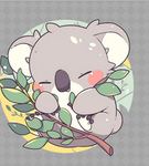 Koalas Rule the world