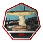 caption=Badge