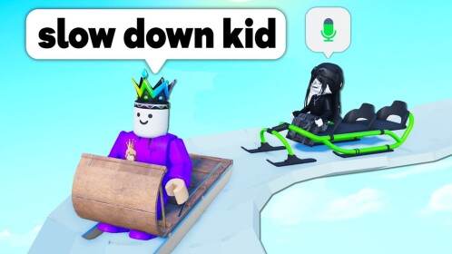 🏂Sled Race Simulator