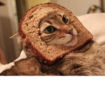 Big Bread Family