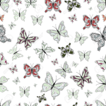 butterfly6789