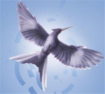 Hunger games fan group!