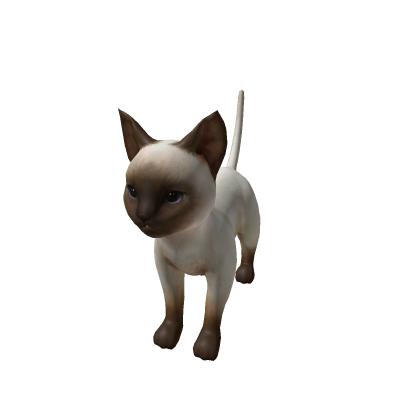 Cat Bomb