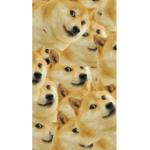 The doge reborn