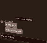 ripstufo