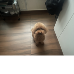 Rubuxxxx for teddy
