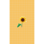 ••sunflower clothing corp••