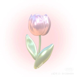 ⋆ ˚｡⋆୨♡୧⋆ ˚｡⋆