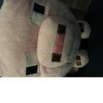 Pig.world