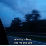 Ｐｅｓｓｉｍｉｓｔｉｃ