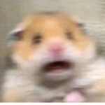 모름