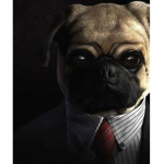The Mafia Pugs